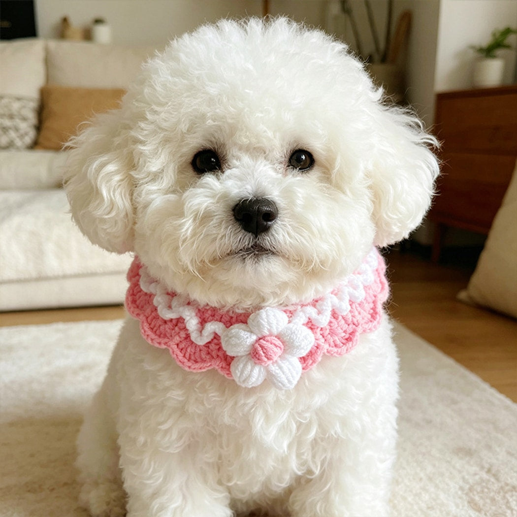 Mokka - Floral Crochet Style Pet Collar