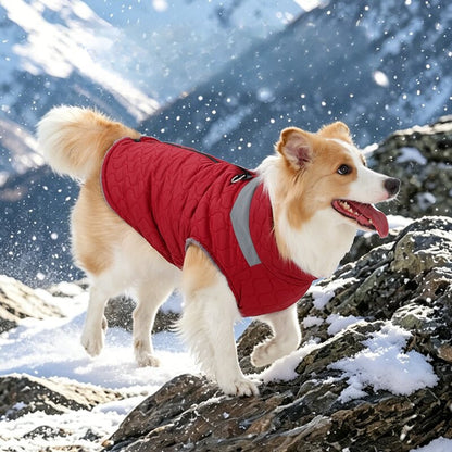 Ozzie - Modern Simple Quilted Dog Vest