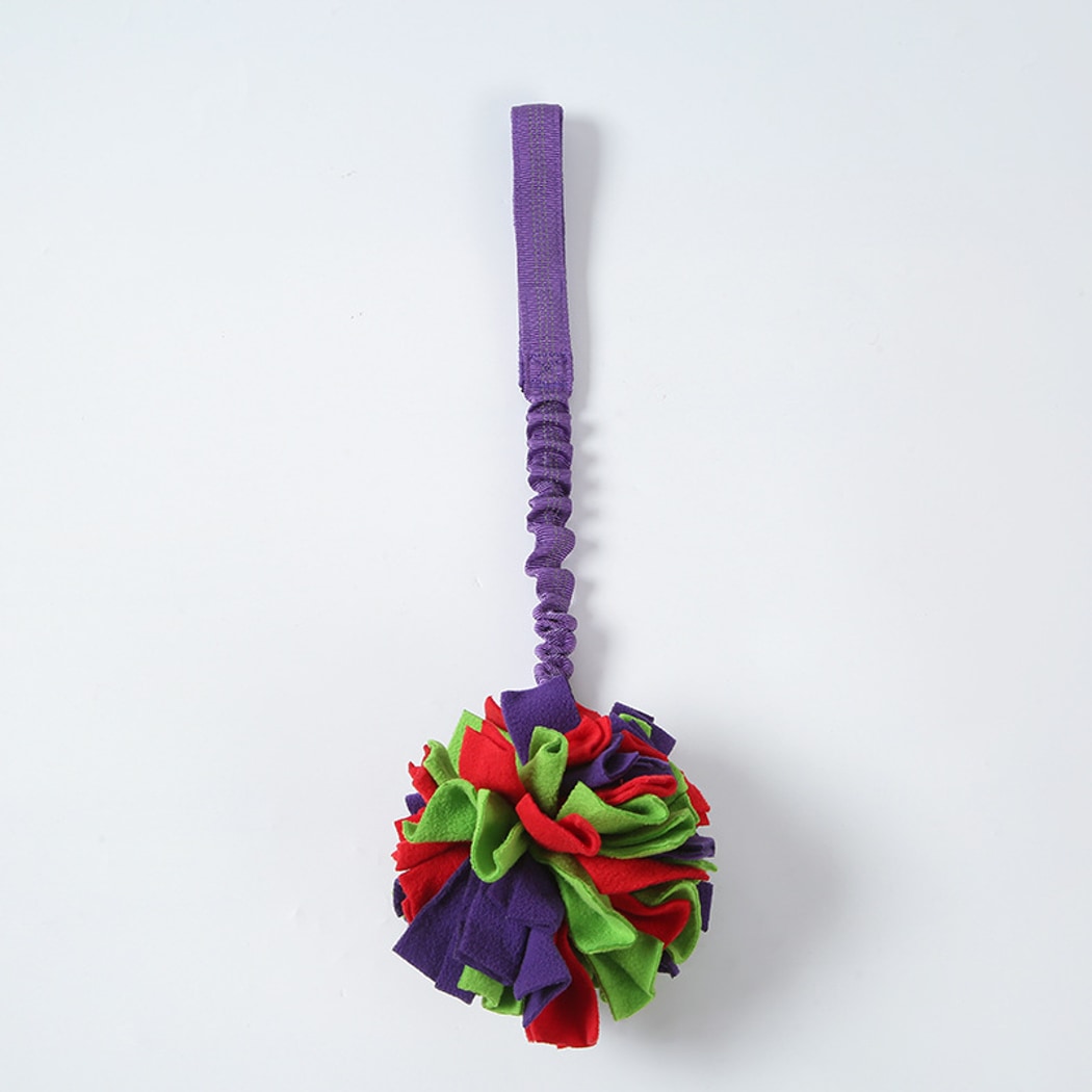Petkin - Interactive Plush Ball Dog Toy with Strap