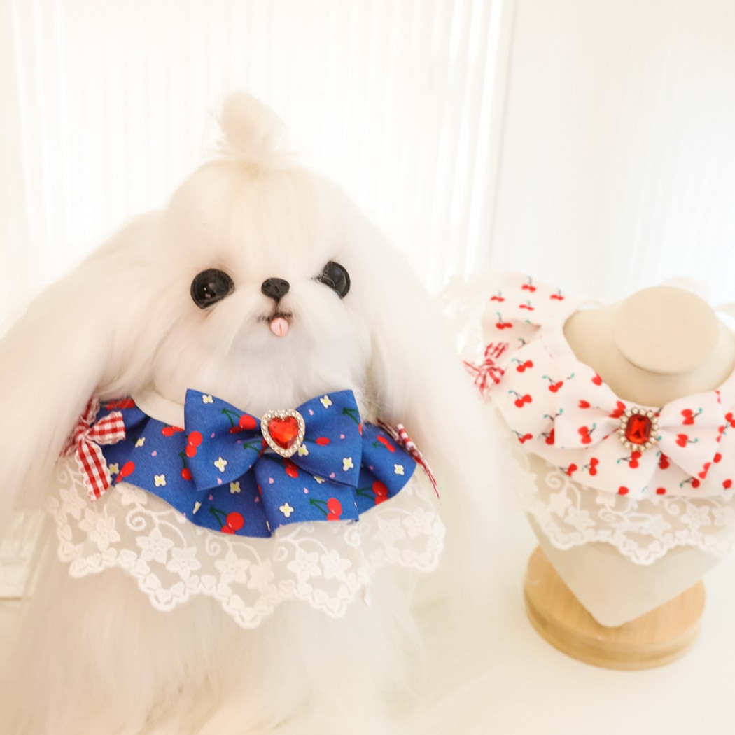 Mokka - Cherry Lace Bow Cat Collar Collar