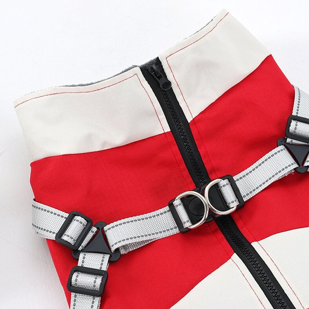 Ozzie - Walking Panel Dog Traction Vest
