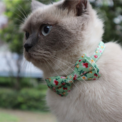 Mokka floral bowtie cat collar with bell view 12