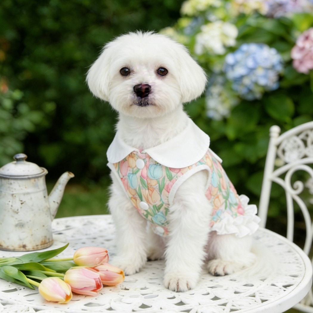 Ozzie - Ruffle Hem Printed Spring Summer Dog Dress