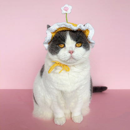 Ozzie - Flower Accent Ruffle Edge Pet Hat