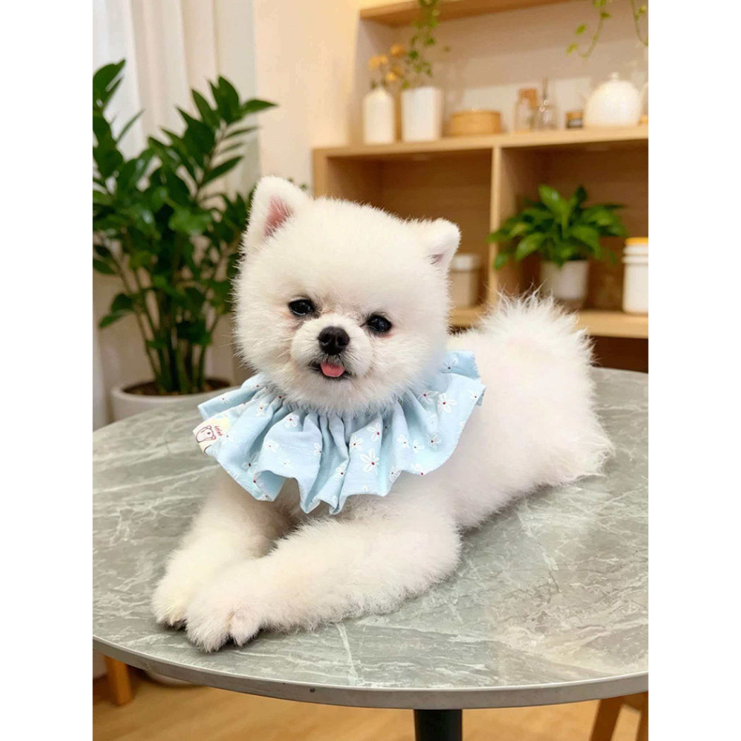 Mokka - Floral Gathered Ruffle Bib Pet Neckwear