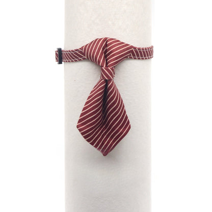 Mokka Smart Tie Breakaway Collar worn on a dog, highlighting fit and style