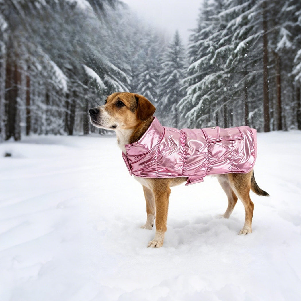 Ozzie - Reflective Outdoor Winter Dog Vest
