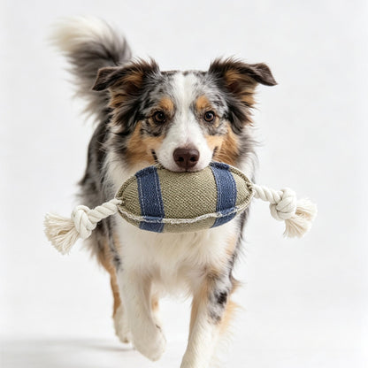 Petkin - Football Style Rope Knot Dog Toy