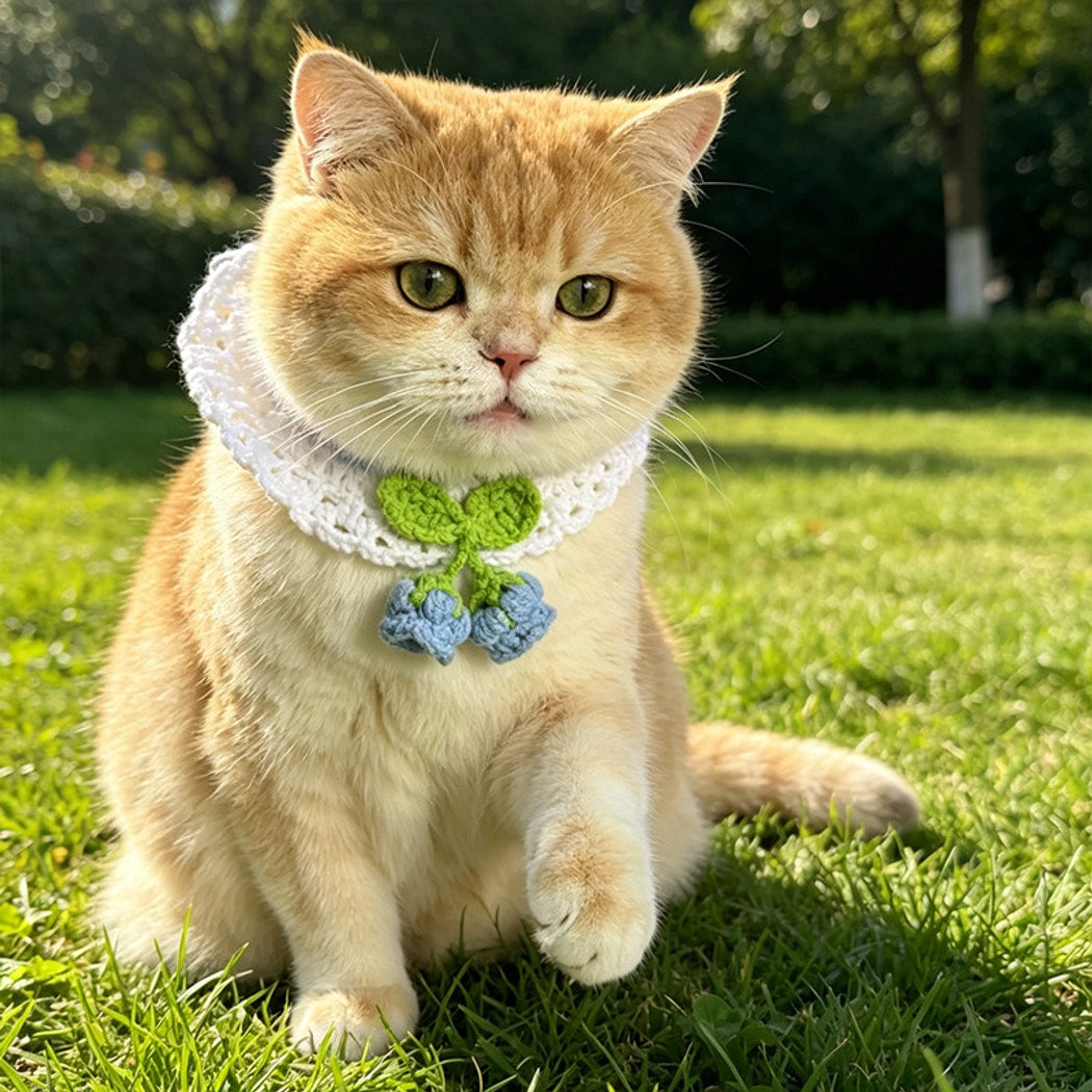Mokka - Princess Style Flower decorated Pet Collar