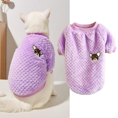 Ozzie - Pullover Round Neck Dog Sweater