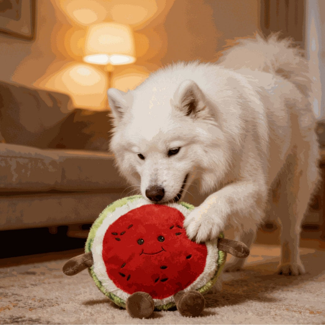 Petkin - Watermelon Plush Dog Playtime Toy
