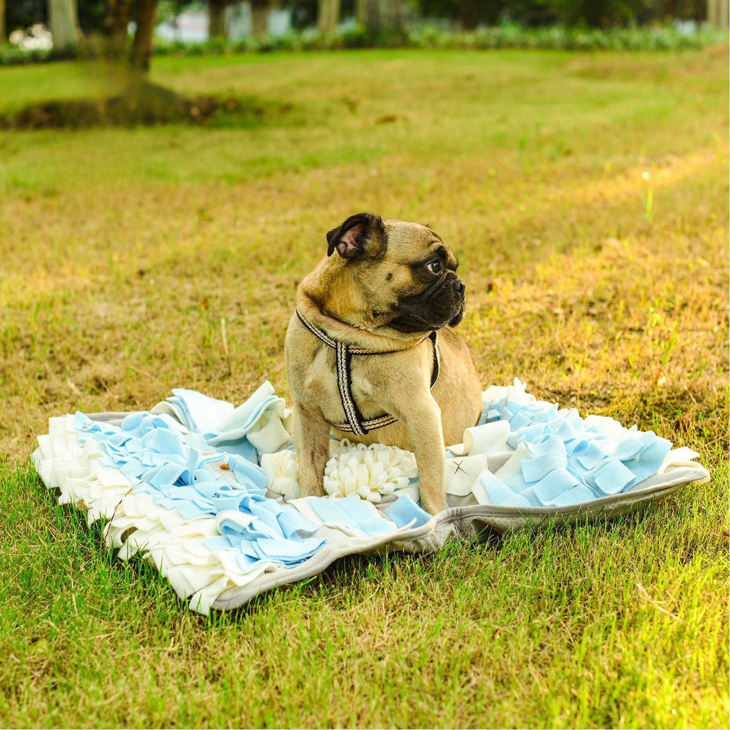 Snuffy - Blue and White Pet Snuffle Mat