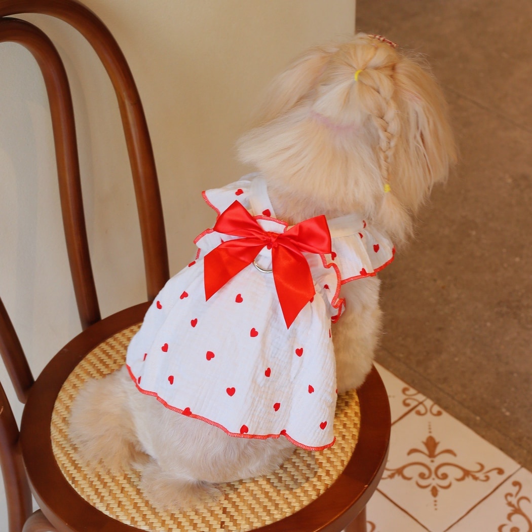Ozzie - Heart Print Ruffle Cartoon Style Pet Dress