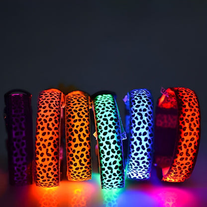 LED dog collar glowing red with a black buckle