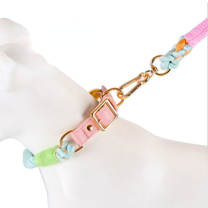 Delighted dog owner walking their pet with Loofie's eye-catching leash and collar set