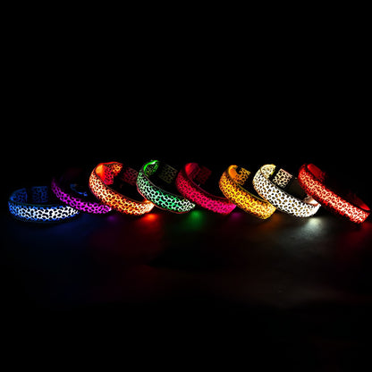 LED dog collar lit up in red on a black surface