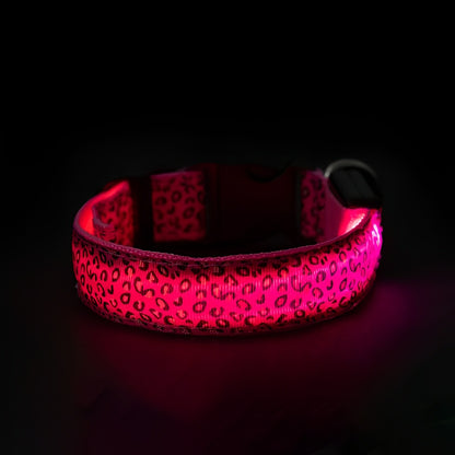 LED dog collar emitting red light on a dark surface