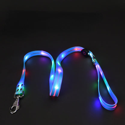 LED dog leash glowing brightly in the dark