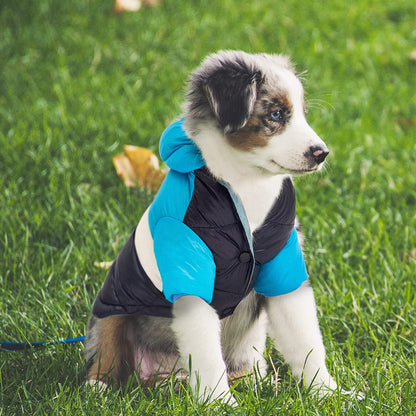 Dog walking at night in Ozzie Winter Coat with reflective accents