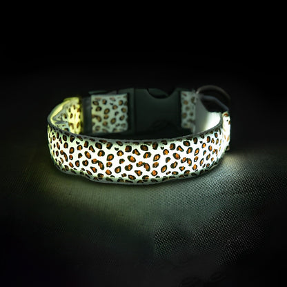 LED dog collar glowing red with a black strap