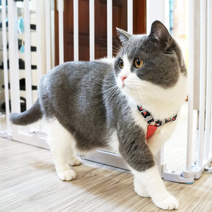 Cat wearing Loofie cat harness with leash outdoors
