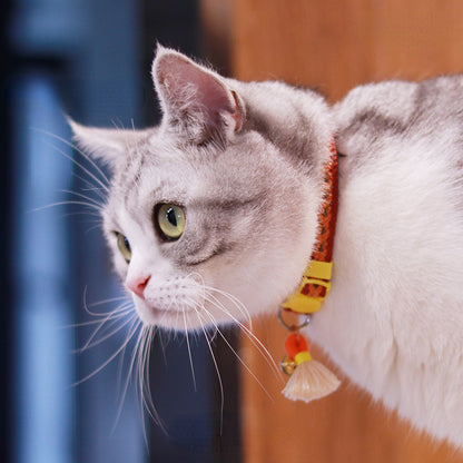 Happy cat wearing the Mokka Adjustable Cat Collar with Bell