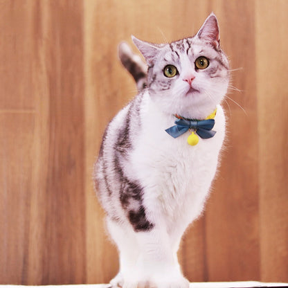 Mokka cat collar with bowknot and bell shown in close detail from front