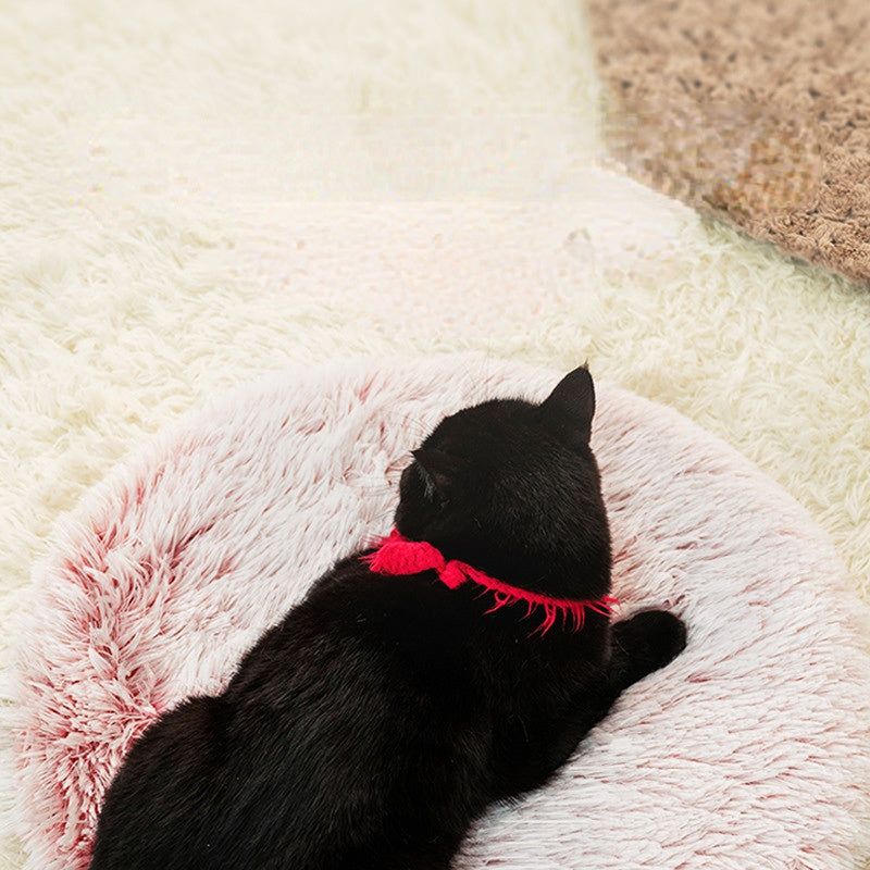 Cat Enjoying the Feli Multi-colored Round Feline Cushion at Home
