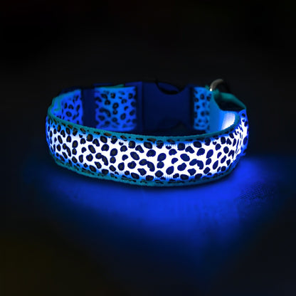 LED dog collar glowing red with a black clasp