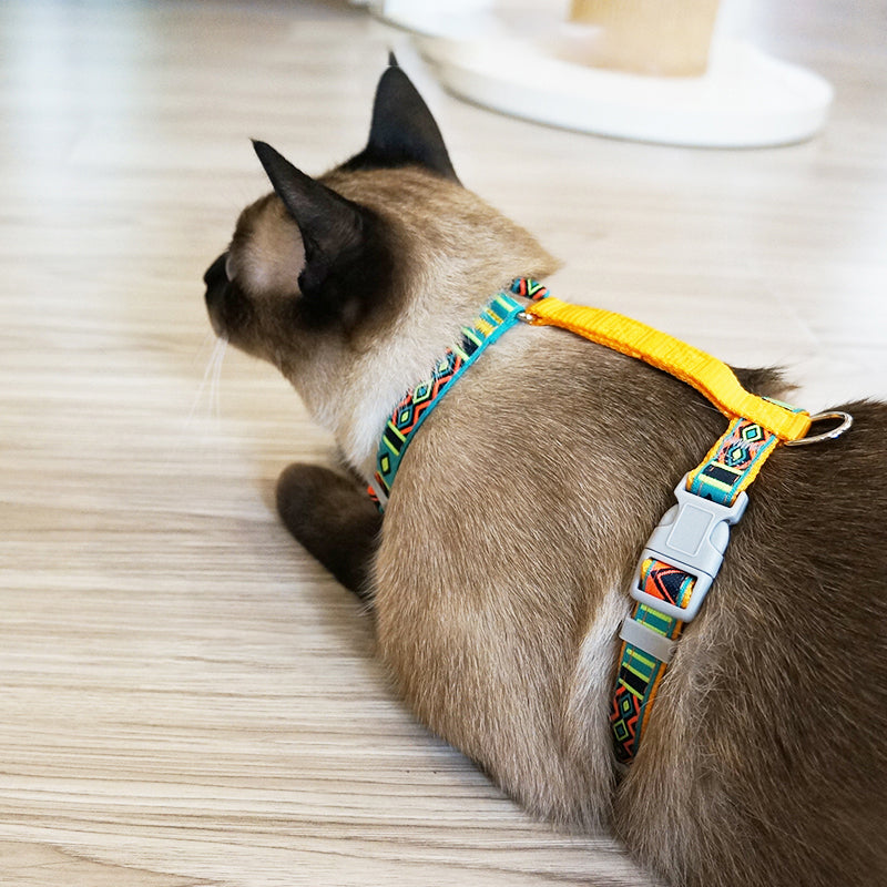 Cat enjoying a walk in the Loofie Colorful Cat Harness