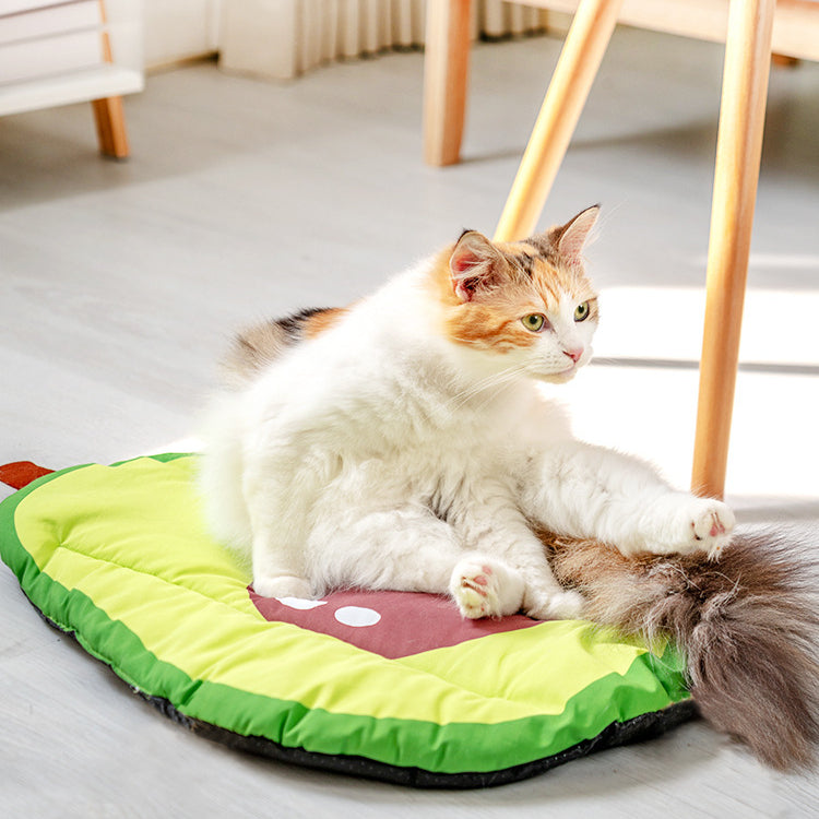 Cat enjoying the Feli Avocado Summer Pet Bed in a sunny room