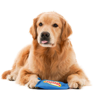 Petkin cookie-shaped treat dispenser toy held in hand demonstrating size