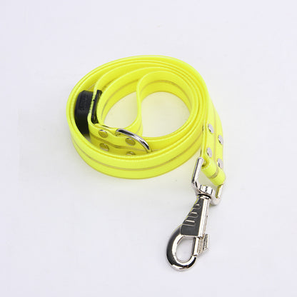 LED dog leash showing light intensity and color