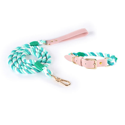 Loofie vibrant dog collar and leash set in various colors