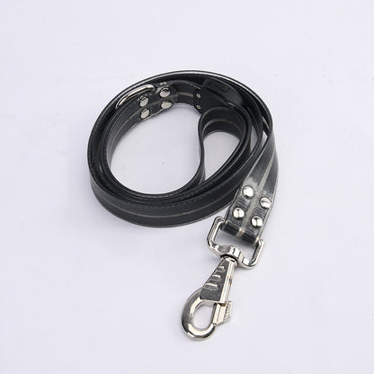 LED dog leash emitting bright light for visibility