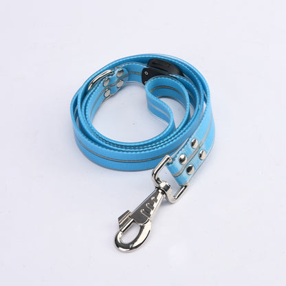 LED dog leash glowing in low light environment