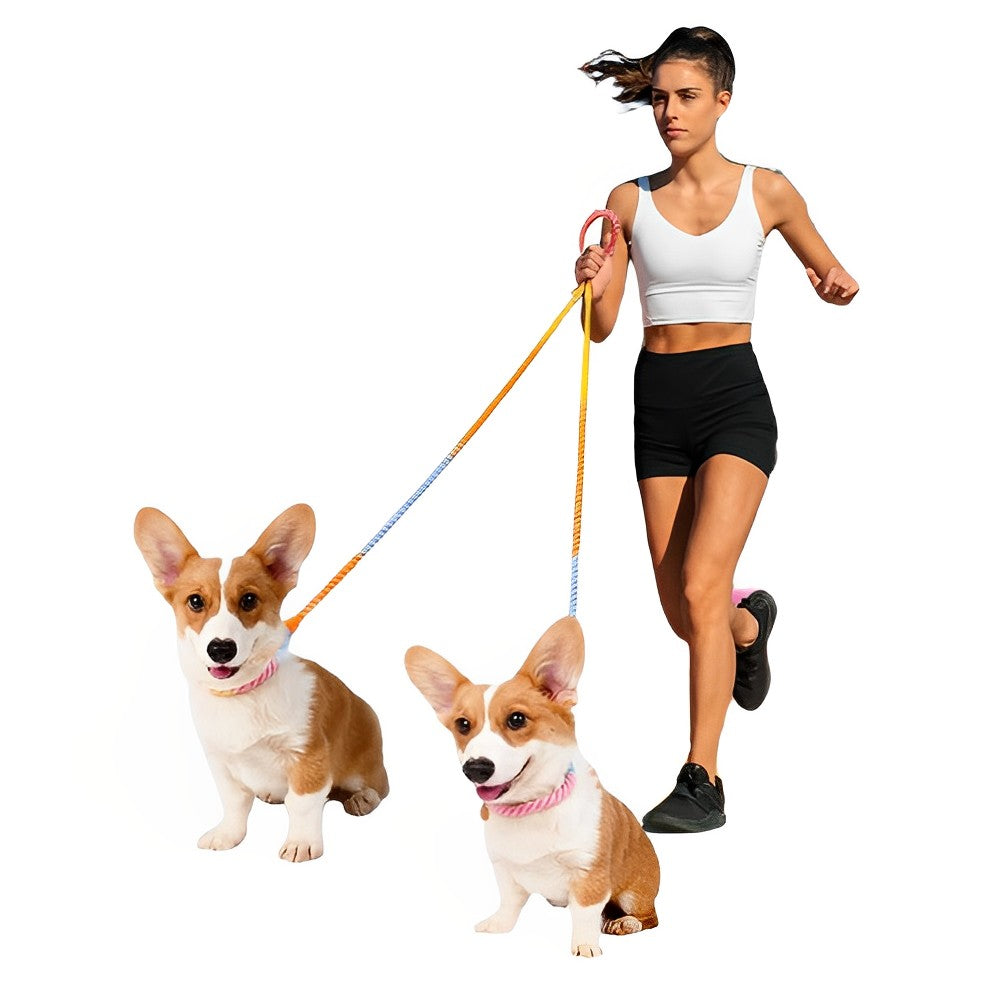 Loofie Handfree Dog Leash - Rainbow Color for Fun & Convenience