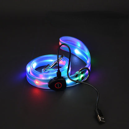 Close-up of LED dog leash light strip illuminated