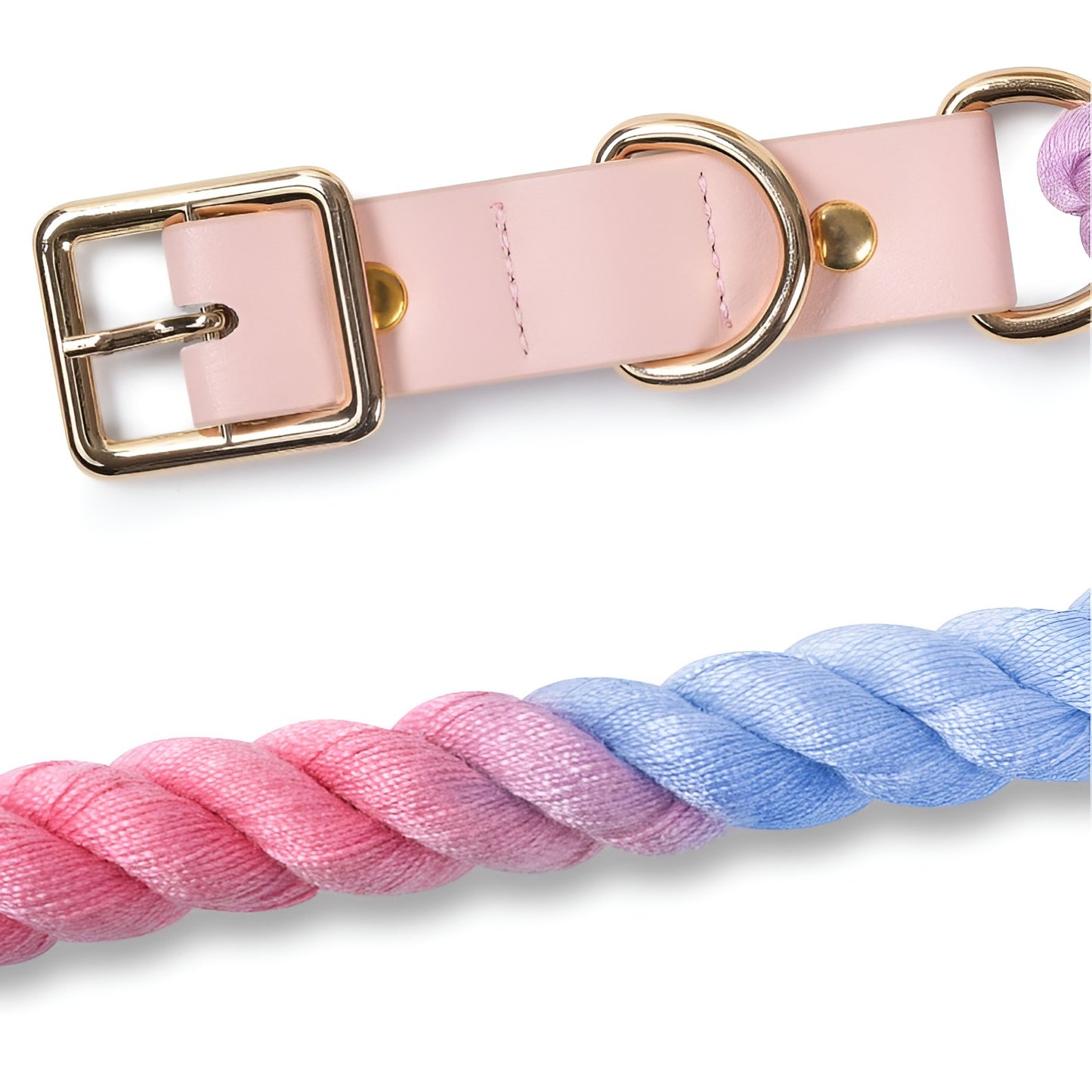 Loofie dog collar and leash set, ideal for daily walks