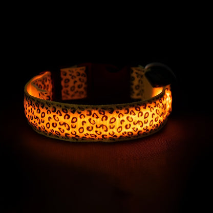 LED dog collar glowing red with light reflections