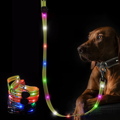 LED dog leash glowing in dark setting