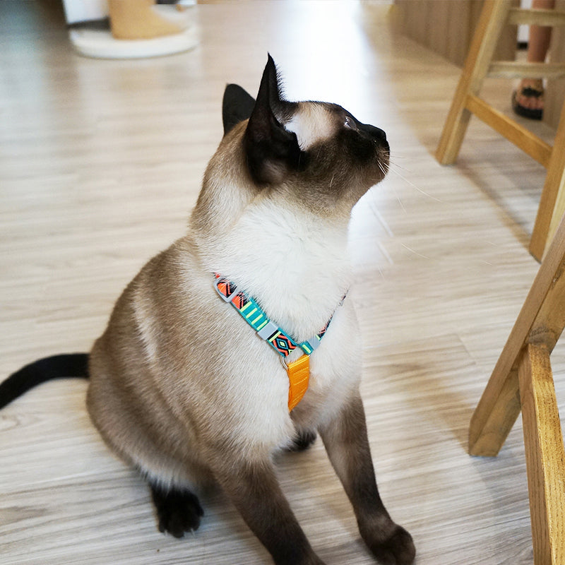 Cat resting in the shade wearing Loofie Cat Harness