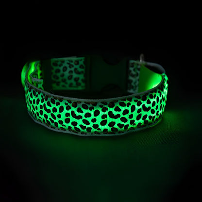 LED dog collar glowing red on a dark background