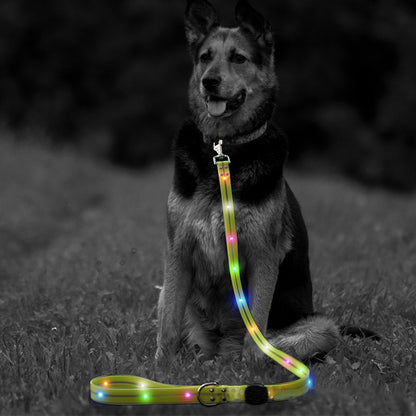 LED dog leash illuminated against dark background