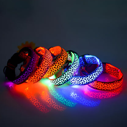 LED dog collar illuminated in red on a white background