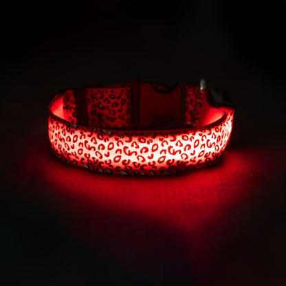 LED dog collar lit up red, shown from side angle