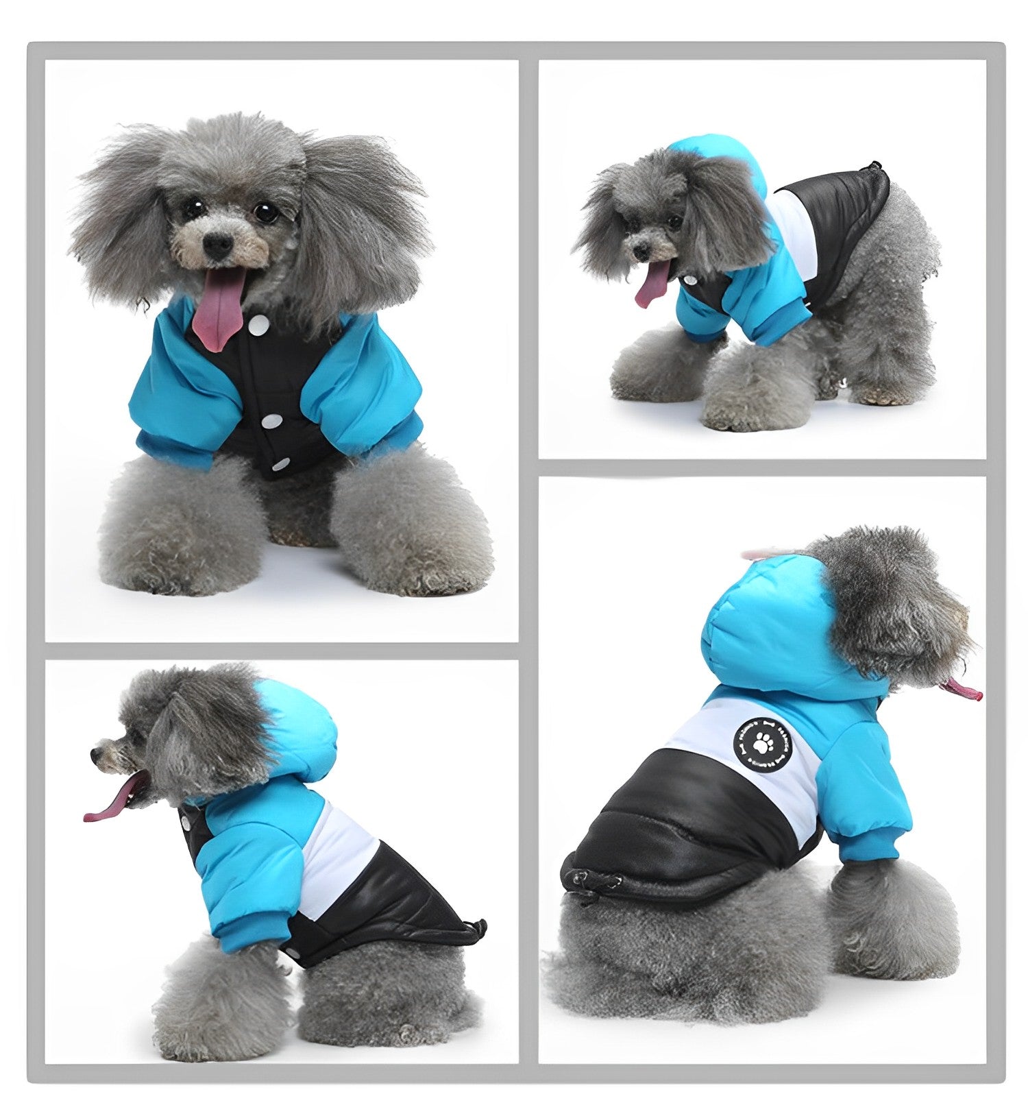 Ozzie Dog Winter Coat | Cozy, Chic Pet Clothing Cheerhunting Ozzie Dog Winter Coat | Cozy, Chic Pet Clothing Cheerhunting