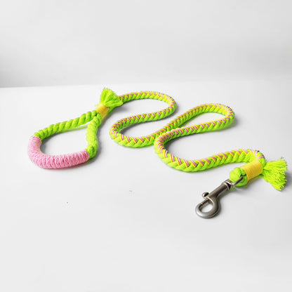 Multiple Loofie colorful dog leashes in different color styles