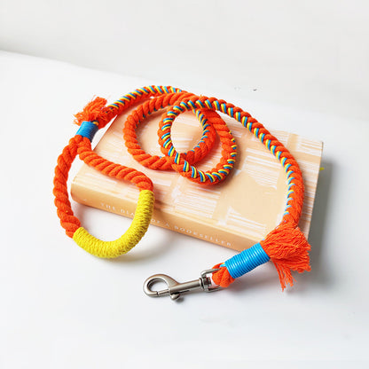 Loofie colorful dog leash with rose gold hardware