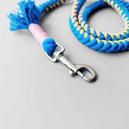 Silver hardware and charm on a Loofie colorful dog leash